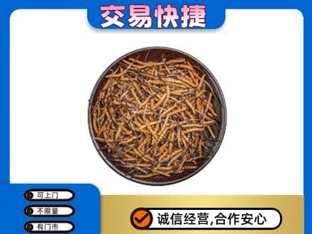 娄底回收散虫草